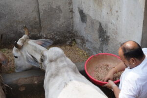 Join Hands in Gau Seva: Serving and Protecting Our Sacred Cows